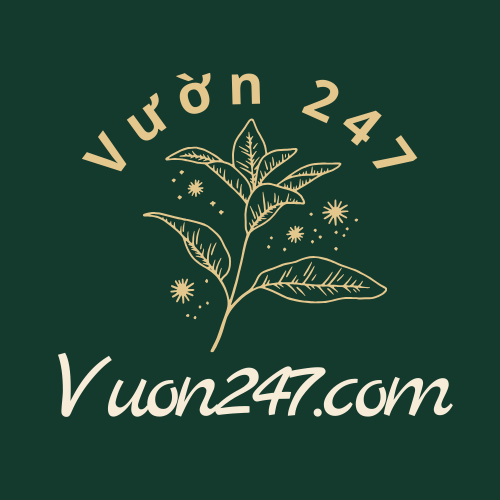 Vườn 247